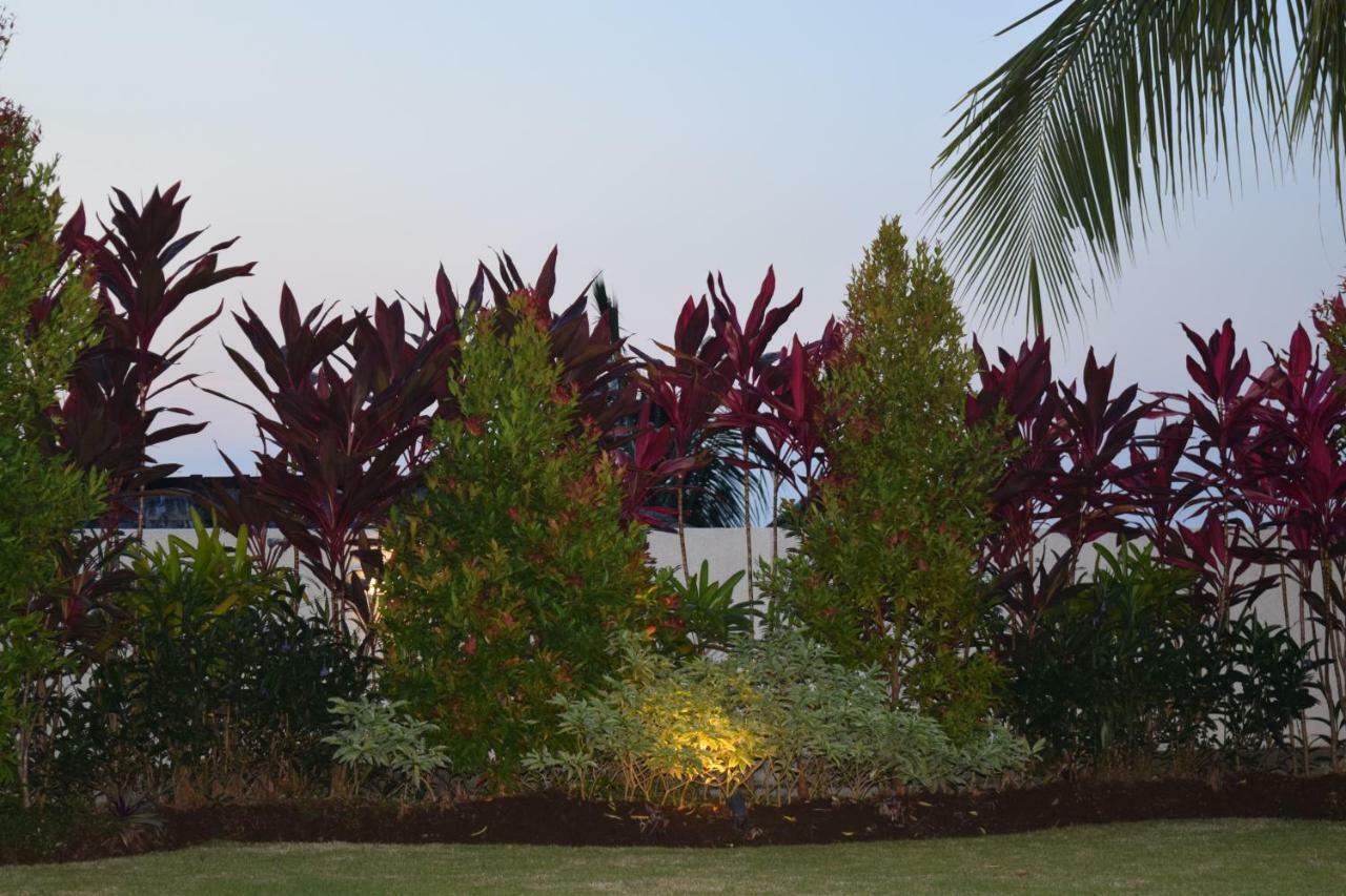 Villa Putih 러비나 외부 사진
